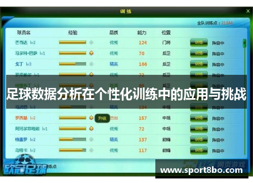 足球数据分析在个性化训练中的应用与挑战